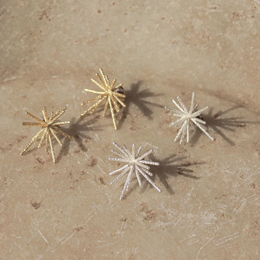 Titanium Earrings