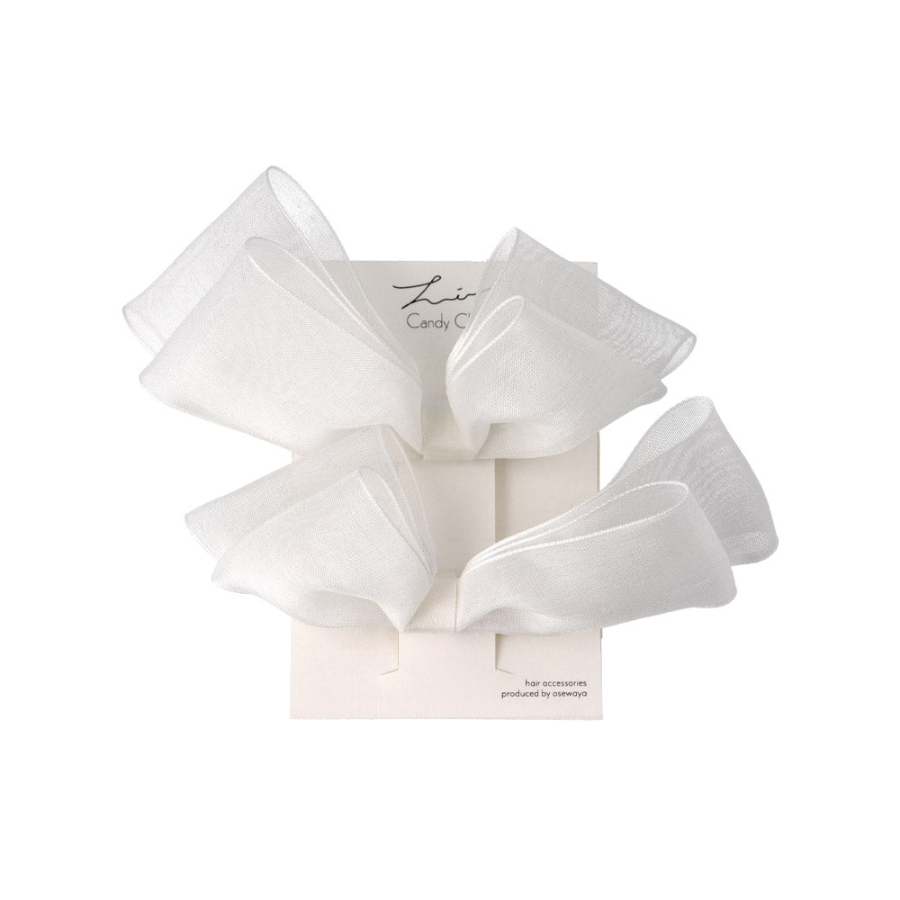 Sheer Asymmetrical Bow Clip Set