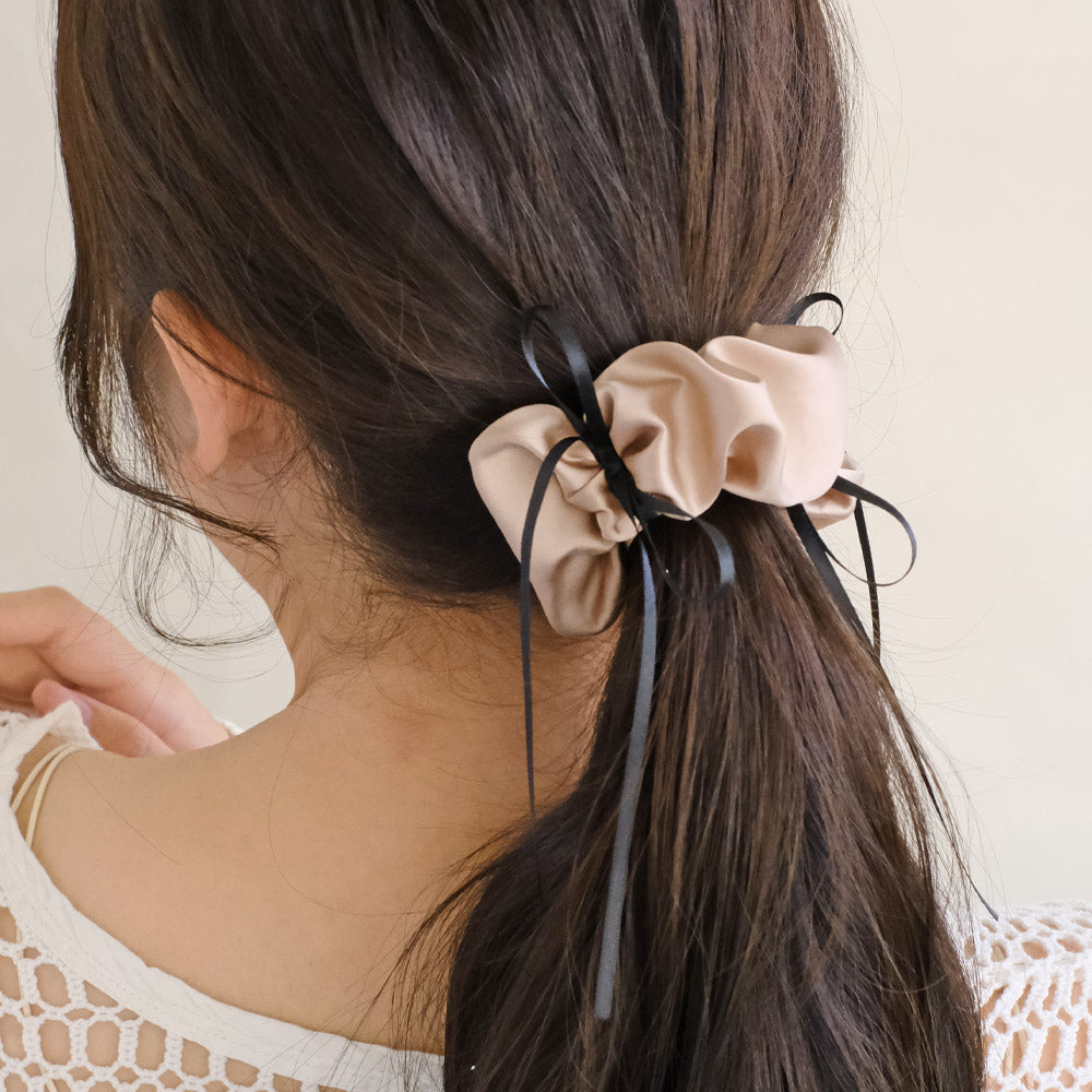 Ruffle Snap Band Pony Hook