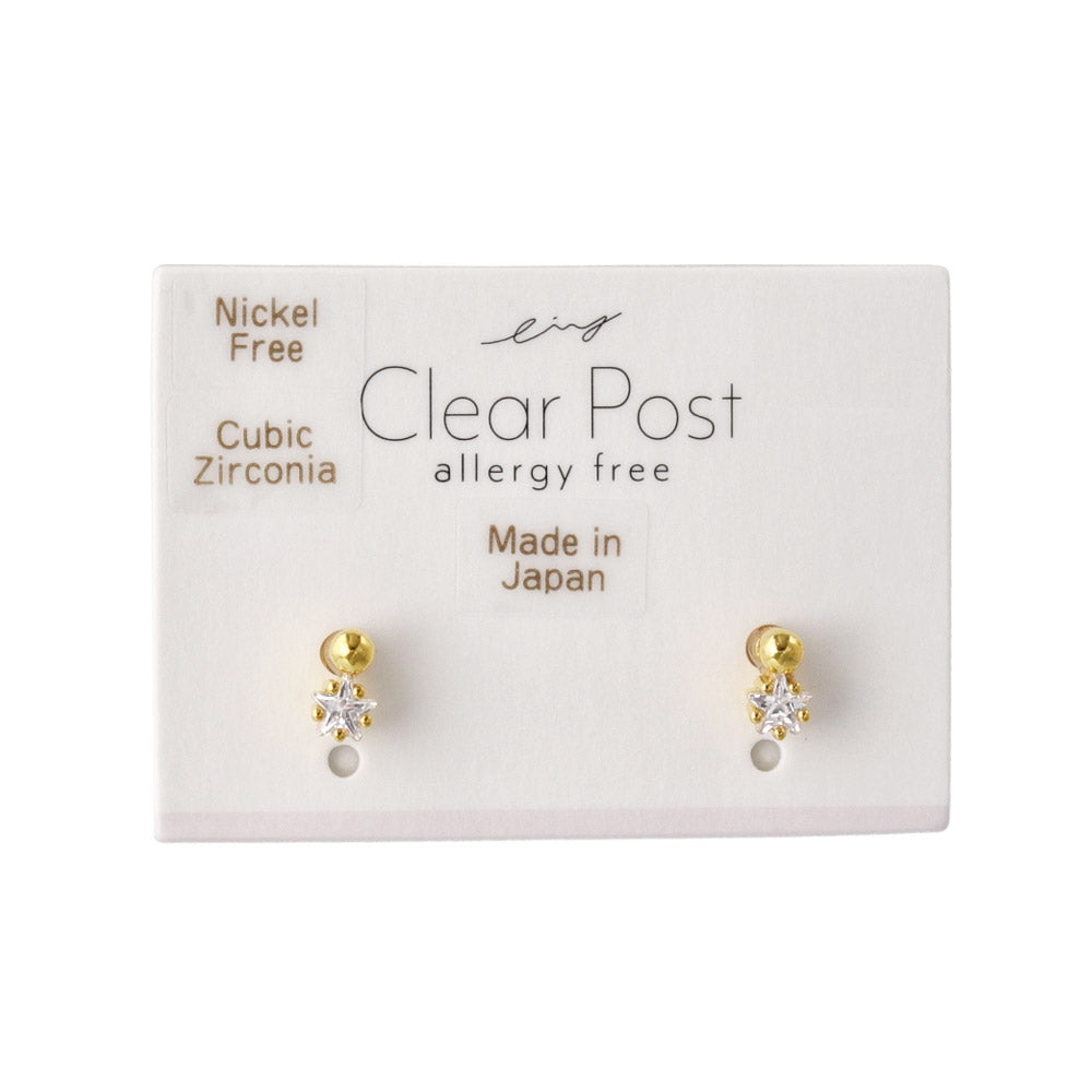 Small Star Stone Plastic Earrings