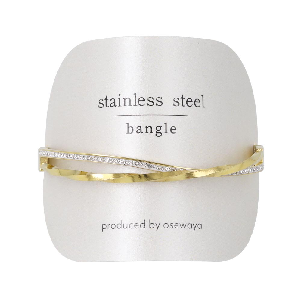 Double Row Stainless Steel Hinge Bangle
