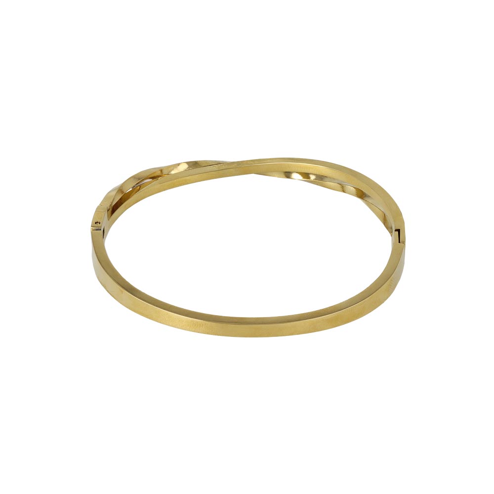 Double Row Stainless Steel Hinge Bangle