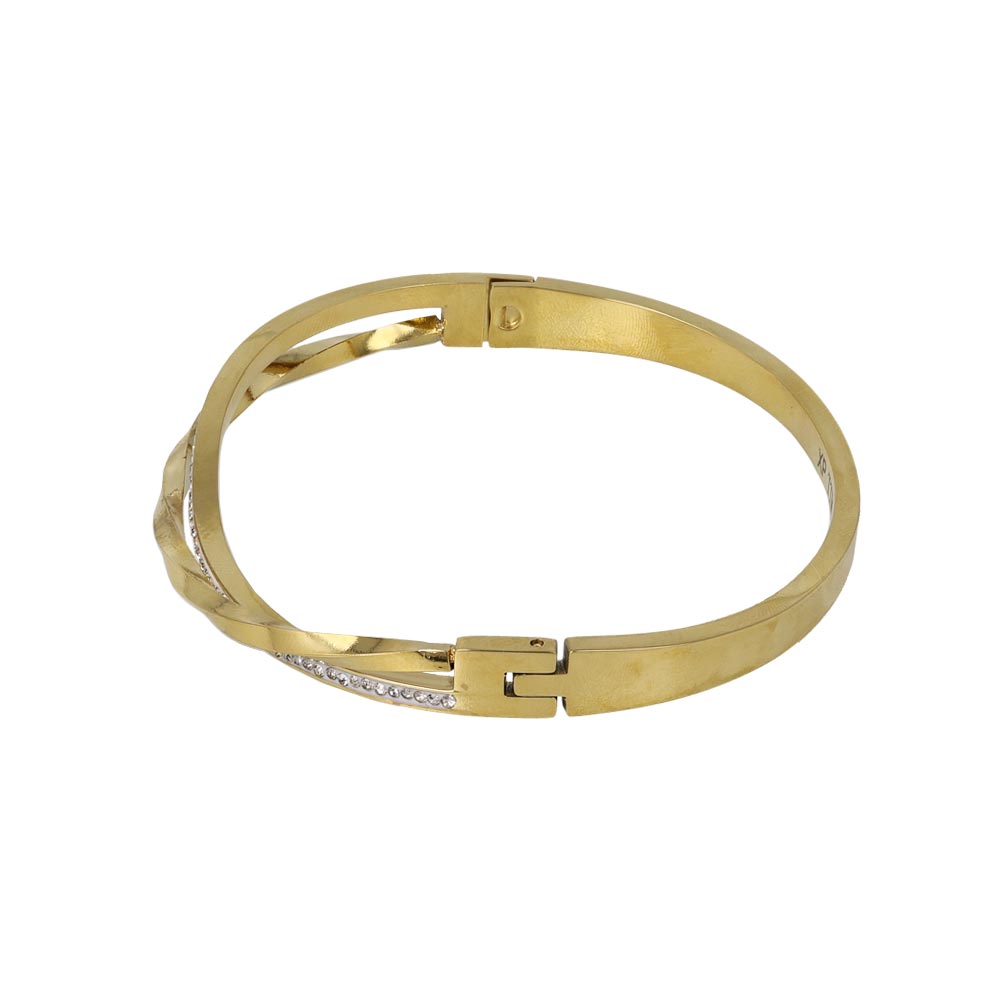 Double Row Stainless Steel Hinge Bangle