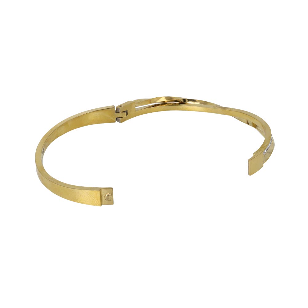 Double Row Stainless Steel Hinge Bangle