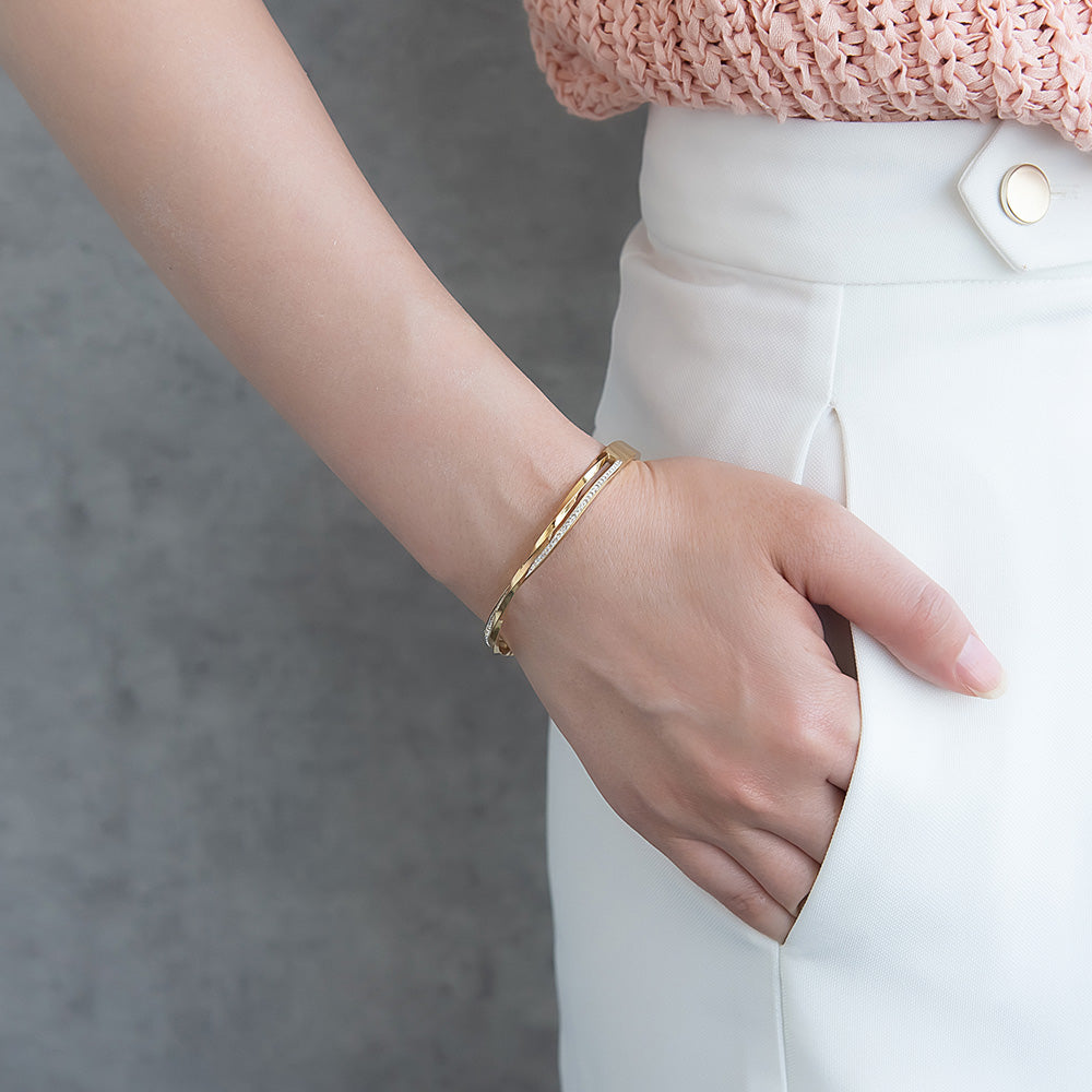 Double Row Stainless Steel Hinge Bangle