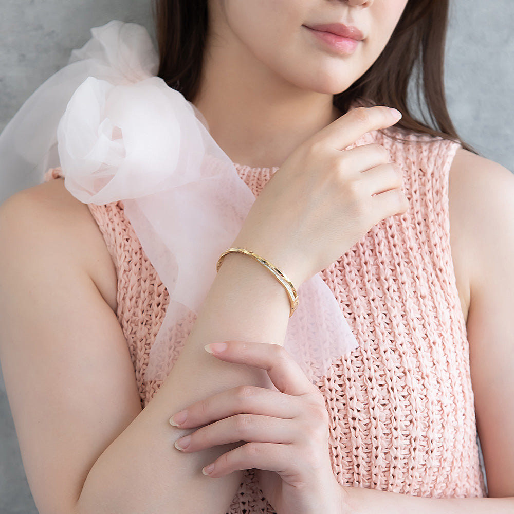 Double Row Stainless Steel Hinge Bangle