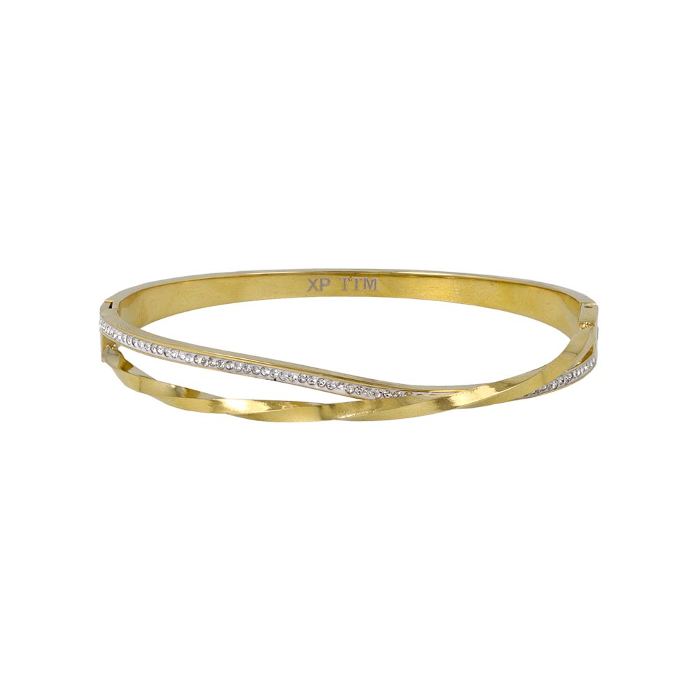Double Row Stainless Steel Hinge Bangle