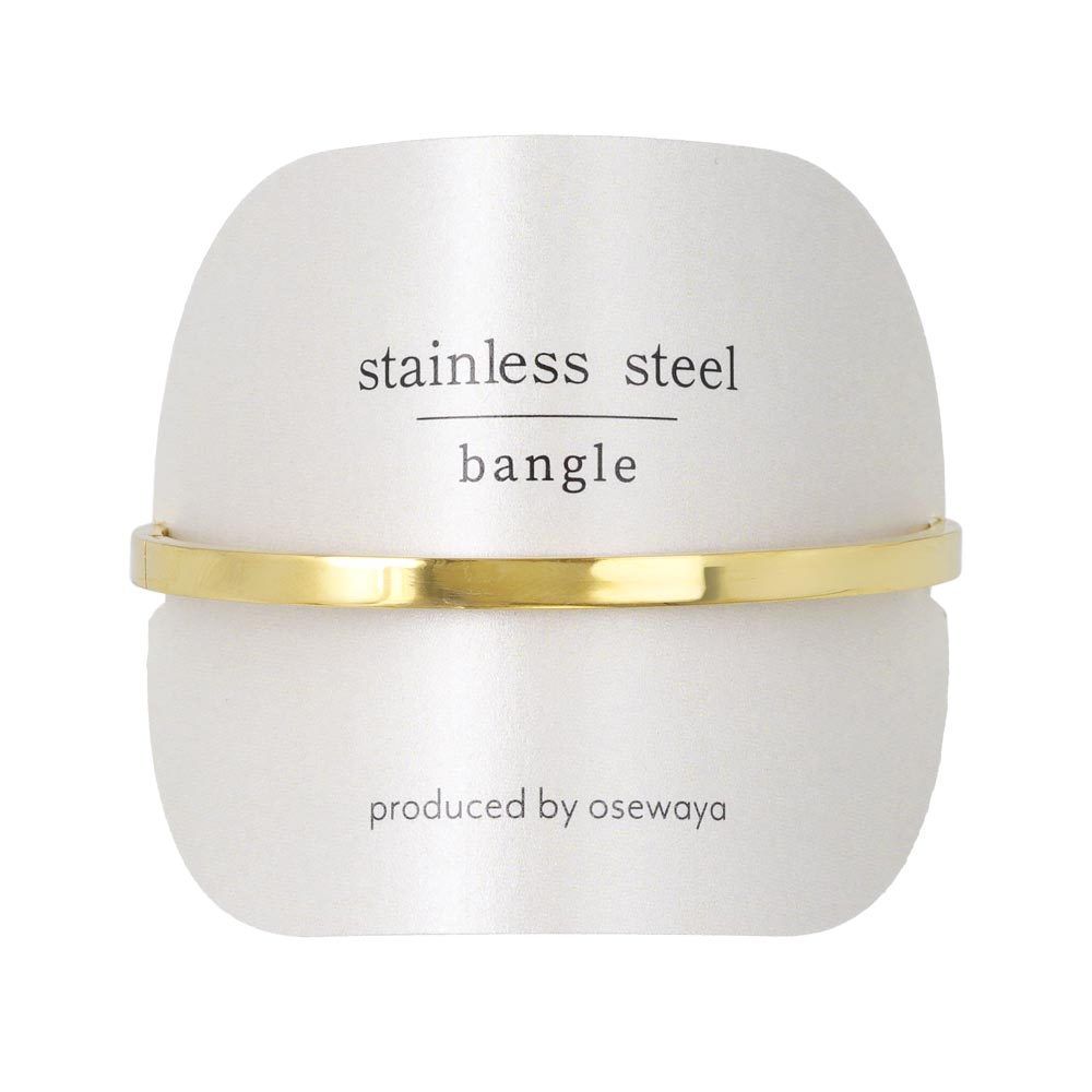 Sleek Stainless Steel Hinge Bangle
