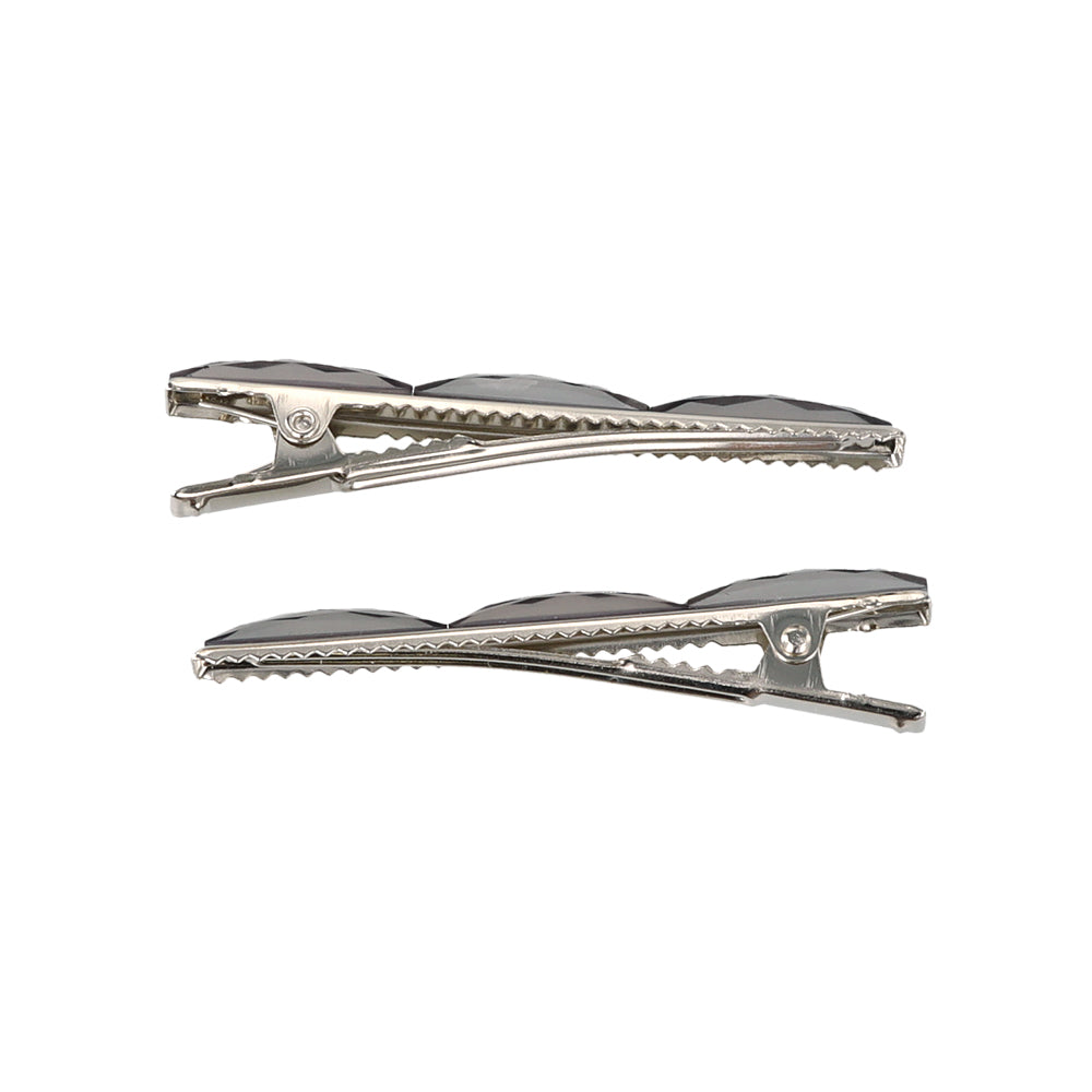 Faceted Thin Pinch Clip Set