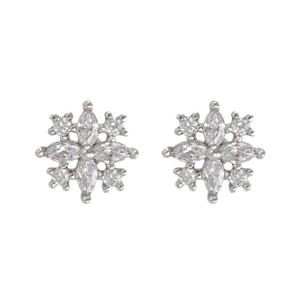 Small Snow Crystal Plastic Earrings