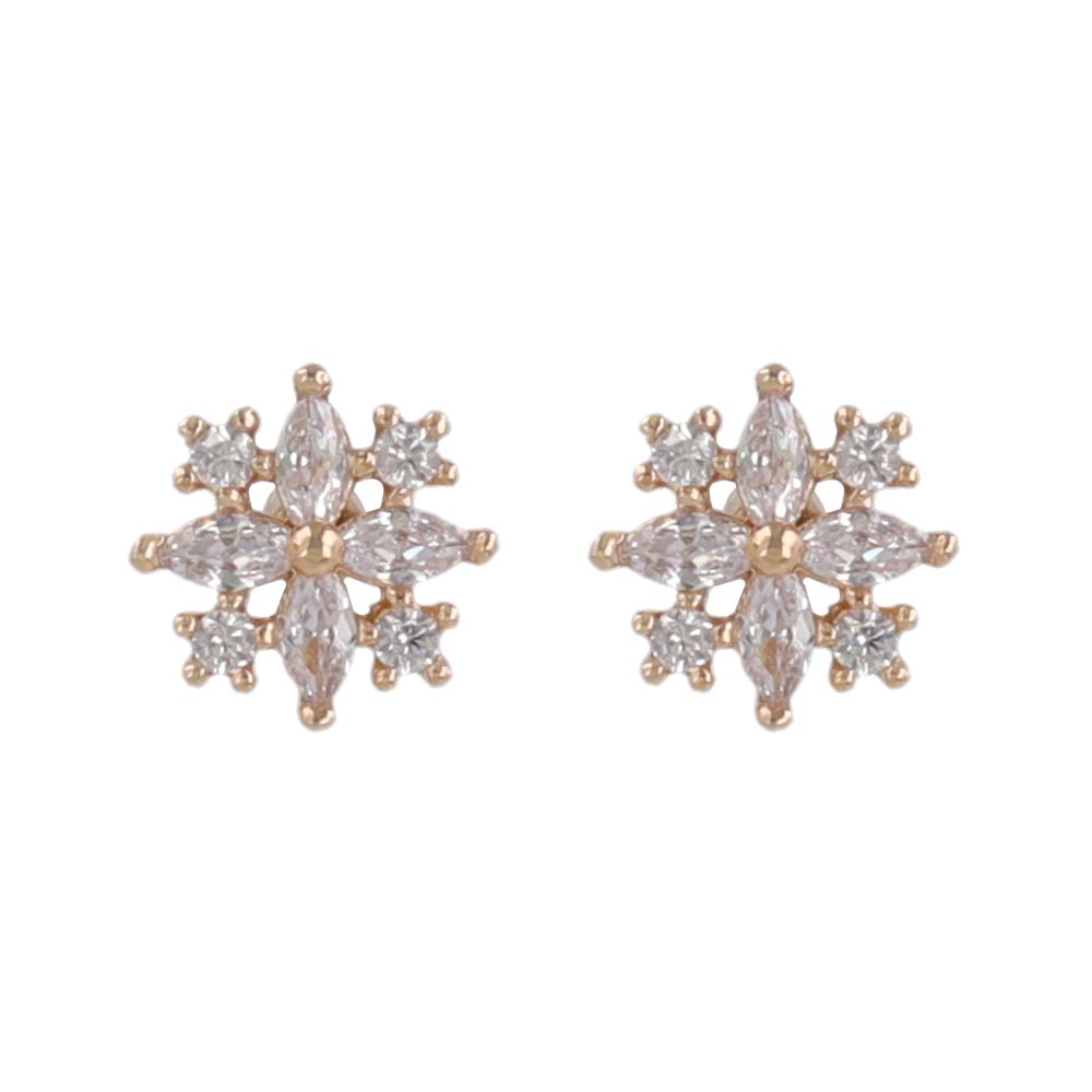 Small Snow Crystal Plastic Earrings