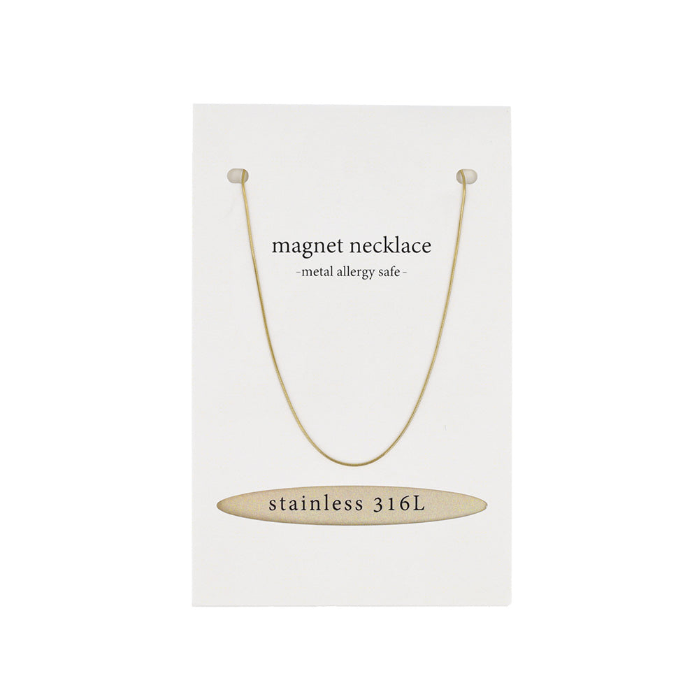 Skinny Chain Magnetic Clasp Necklace