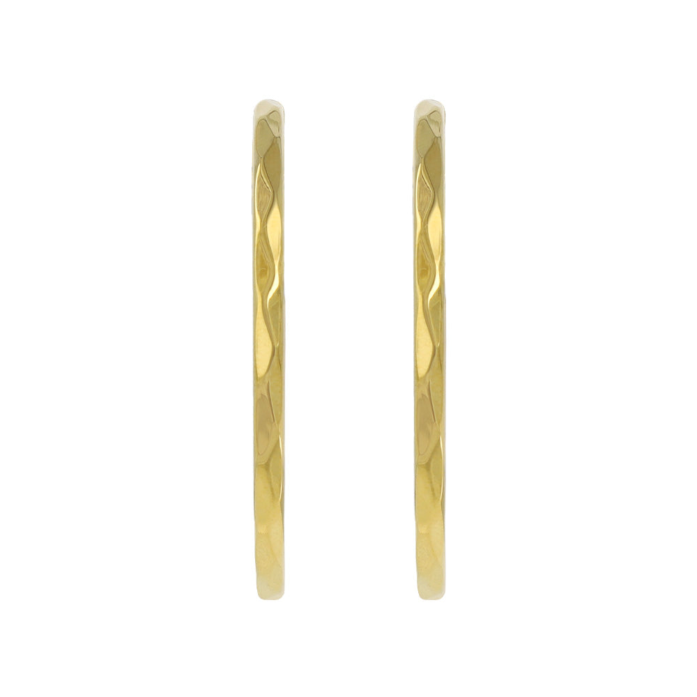 Faceted Stainless Steel Hoop Earrings