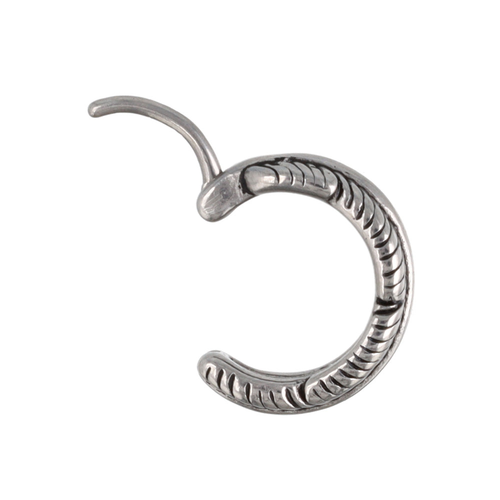 Surgical Steel Feather Hoop Earrings