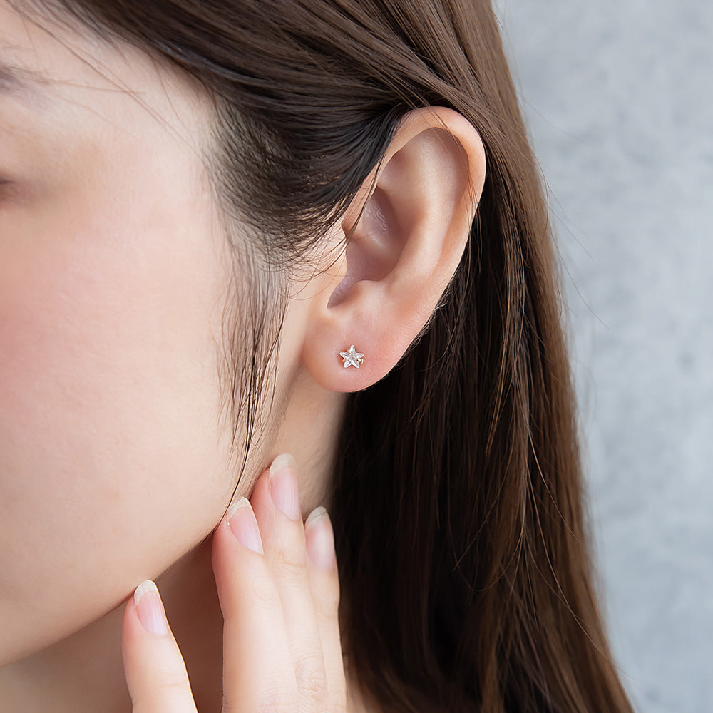 Star CZ Titanium Studs