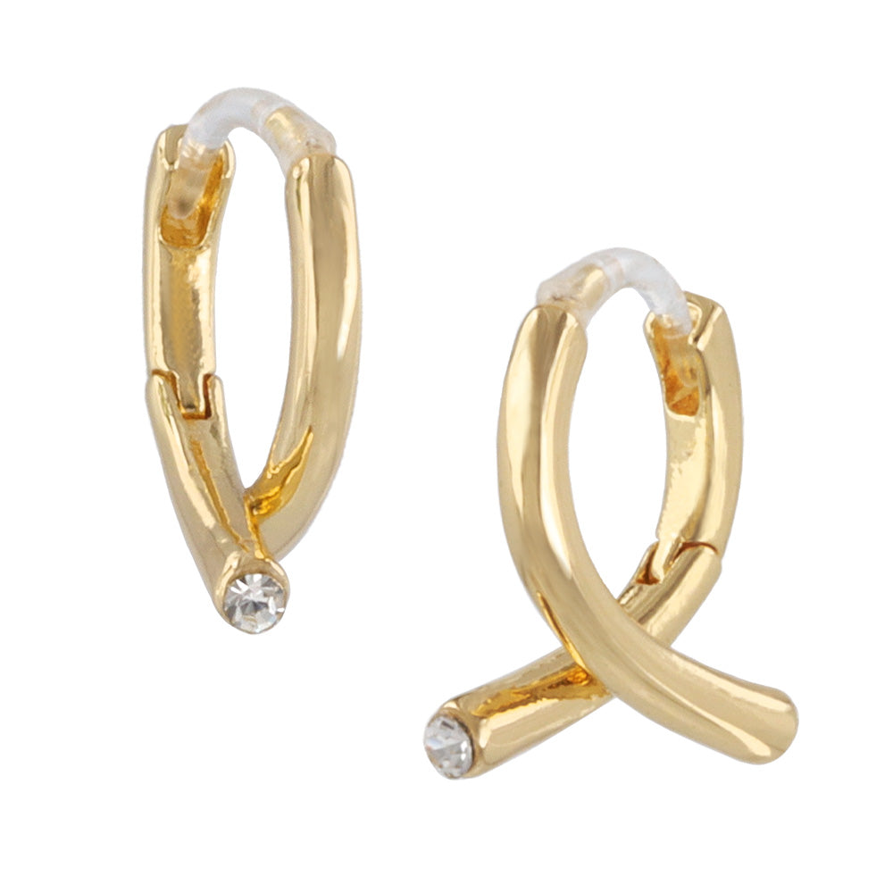 Everyday Hoop Plastic Earrings.