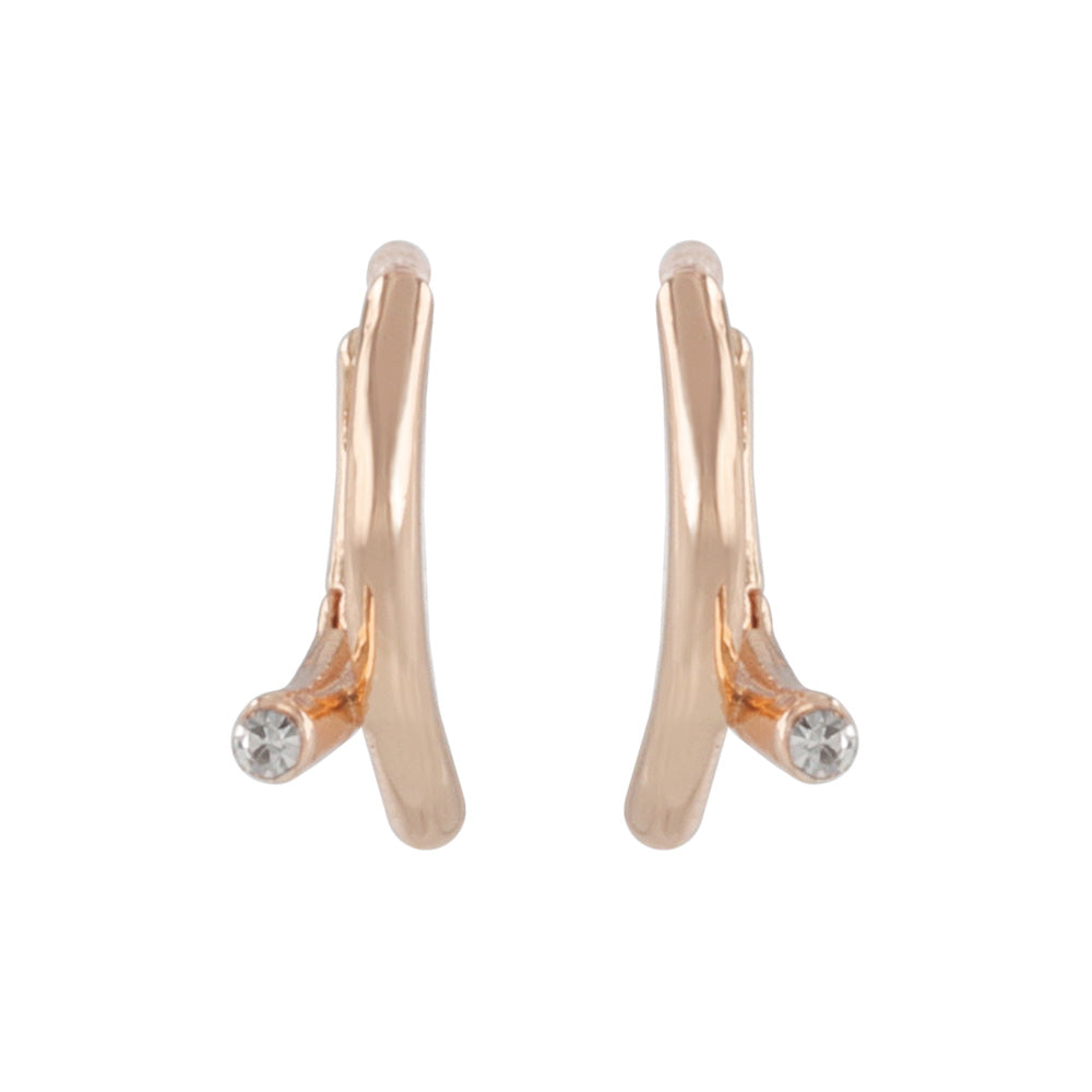 Everyday Hoop Plastic Earrings.