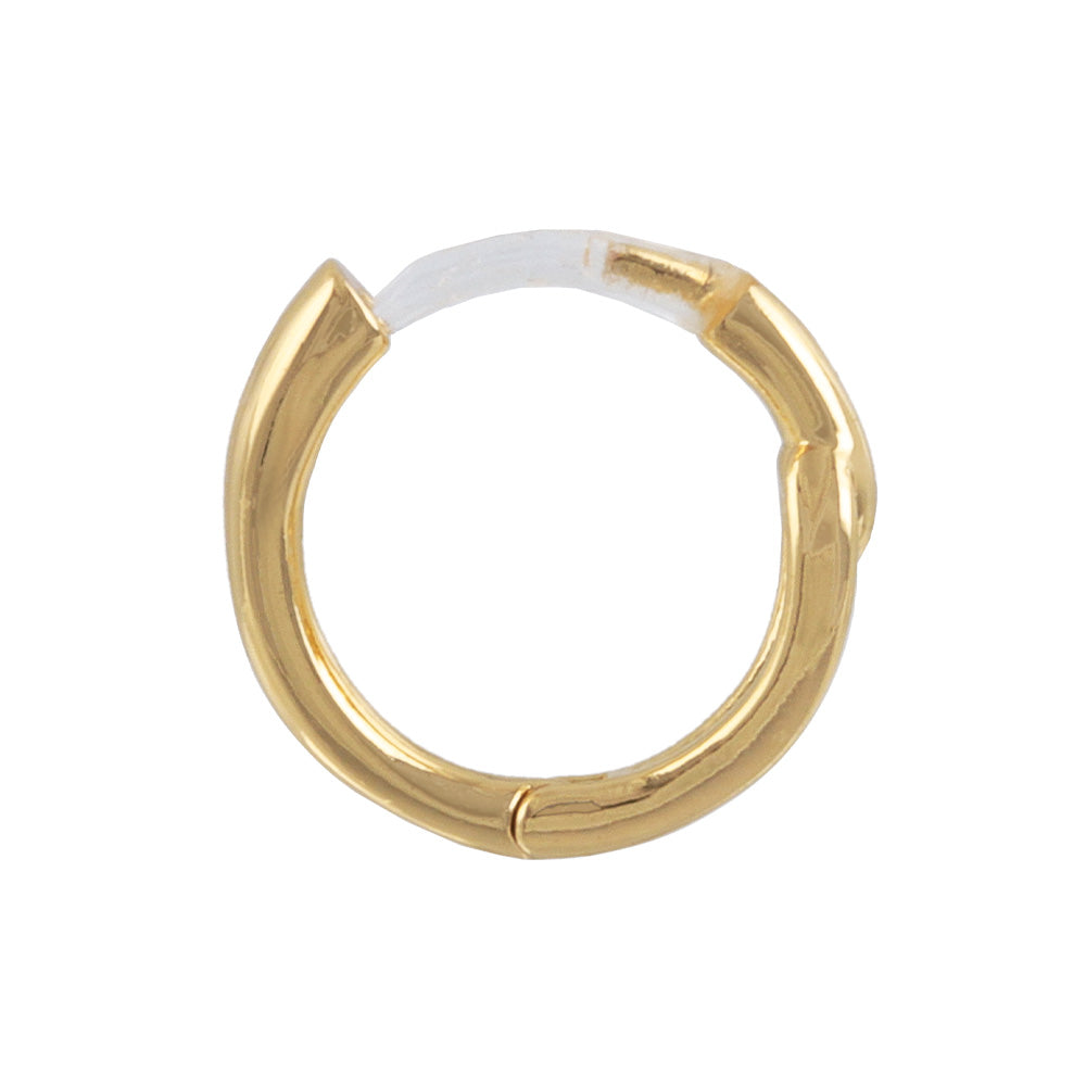Everyday Hoop Plastic Earrings