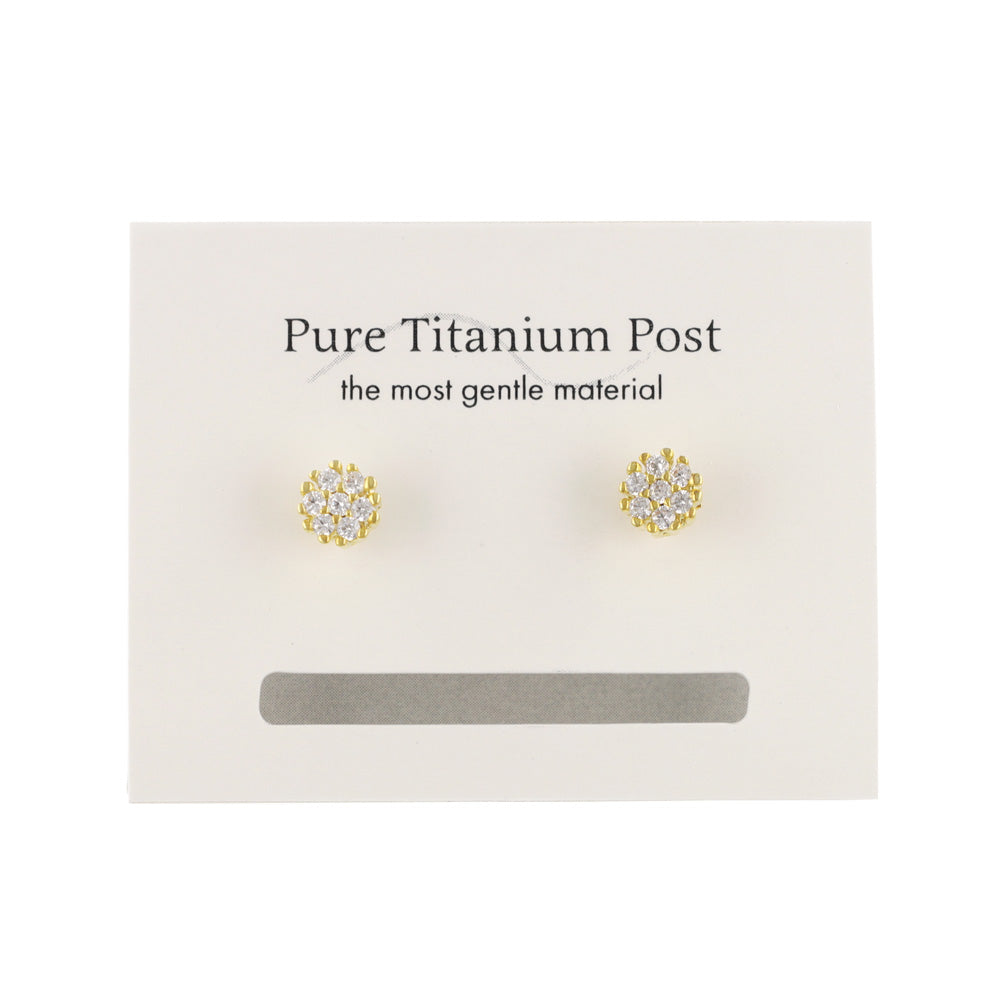 Circle CZ Titanium Stud Earrings