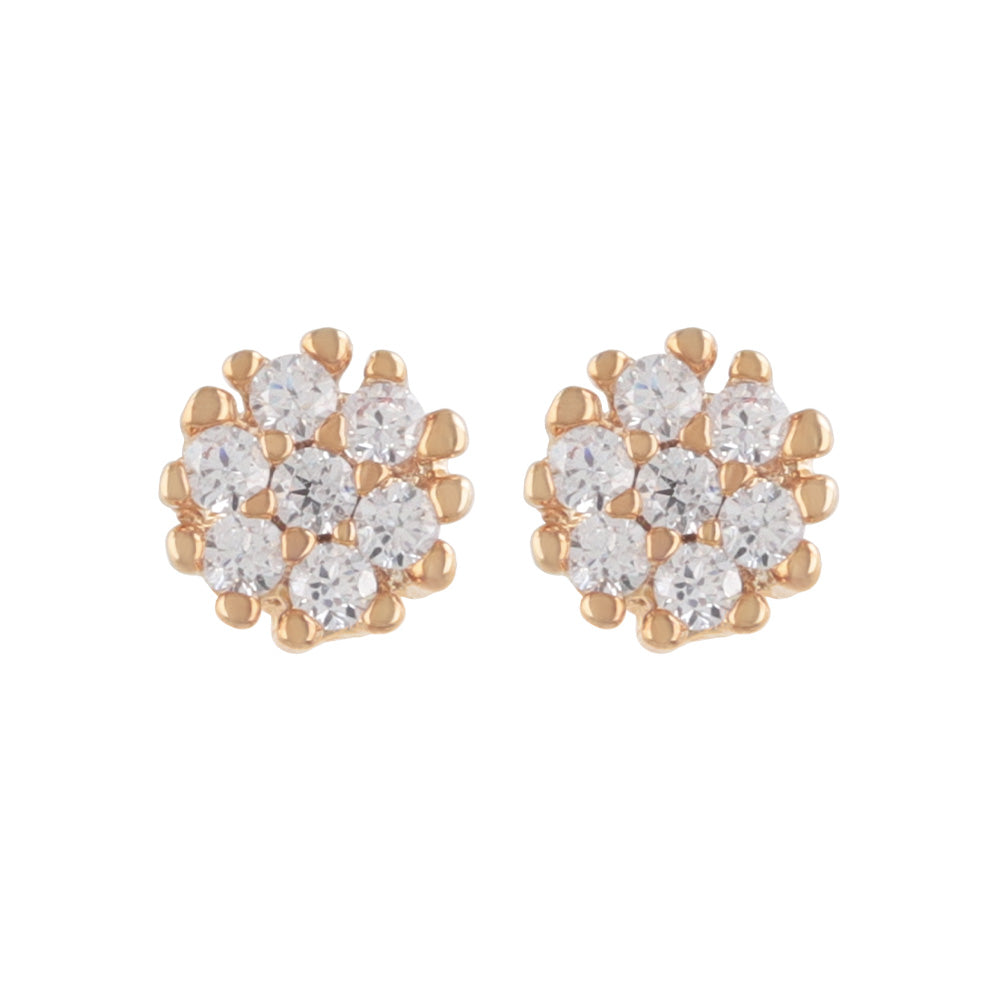 Circle CZ Titanium Stud Earrings