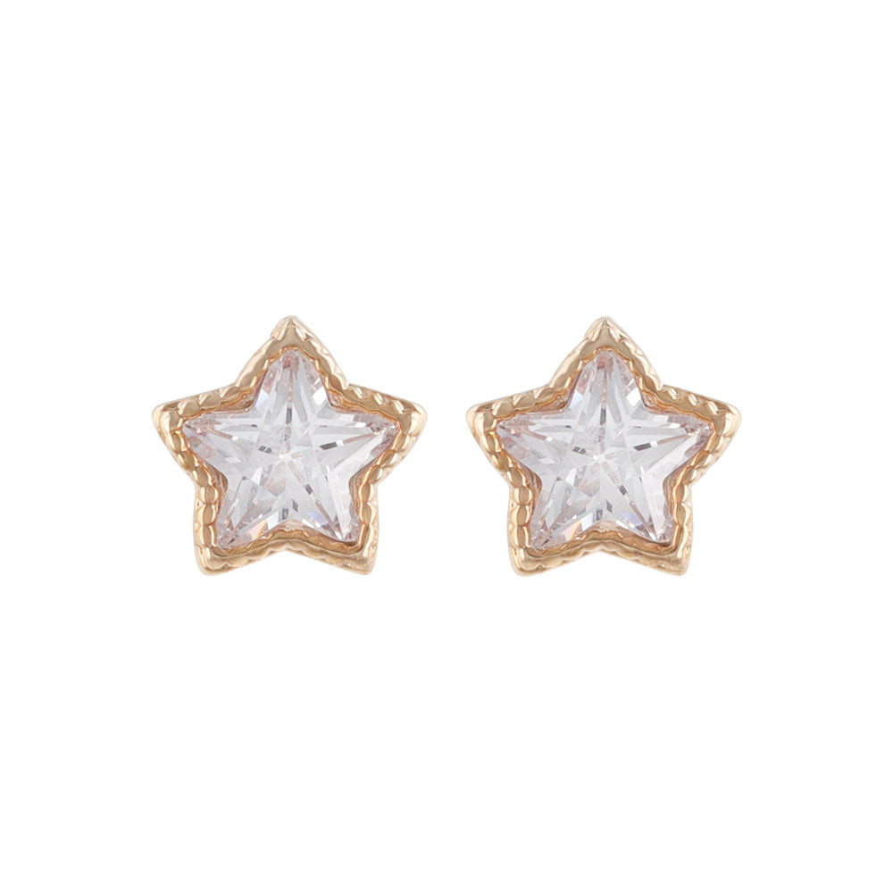 Star CZ Titanium Stud Earrings