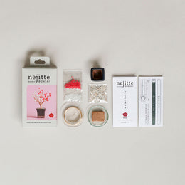 Apricot Miniature Bead Bonsai Craft Kit