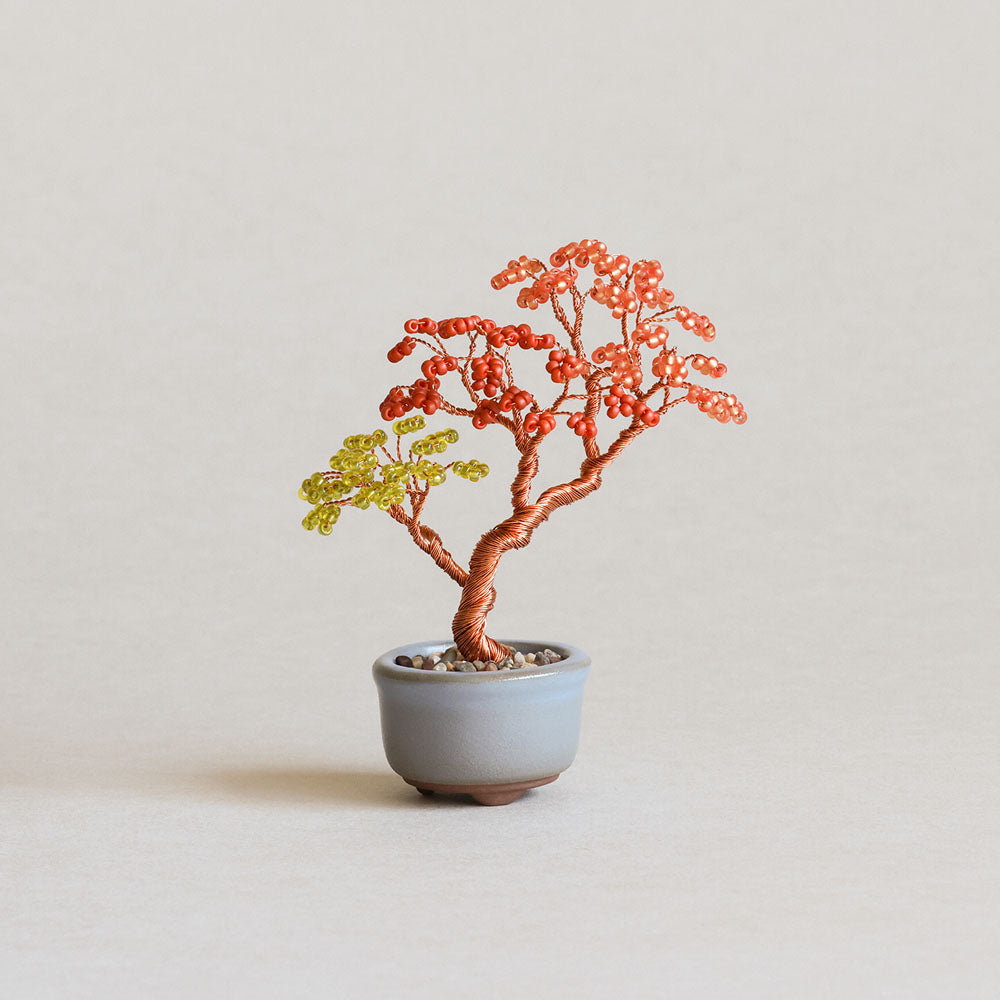 Maple Miniature Bead Bonsai DIY Kit