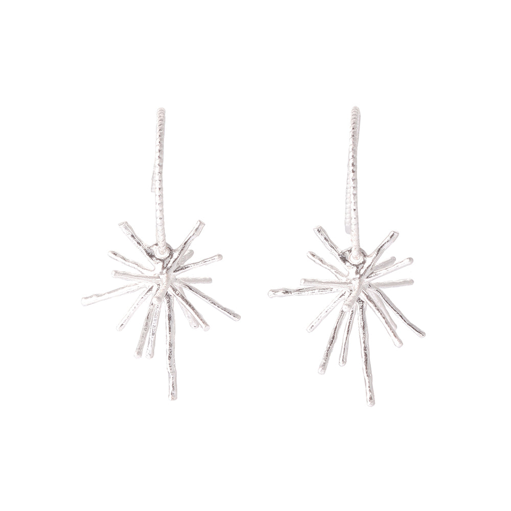 Star Trail Earrings