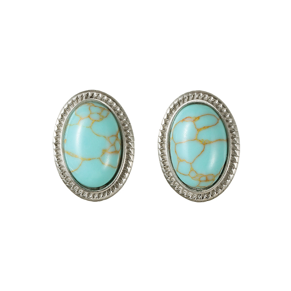Oval Frame Stone Stud Earrings