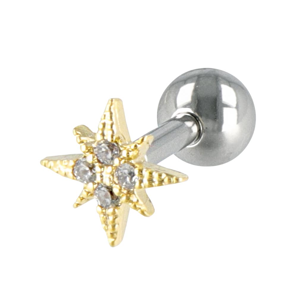 Bright Star Barbell Earrings