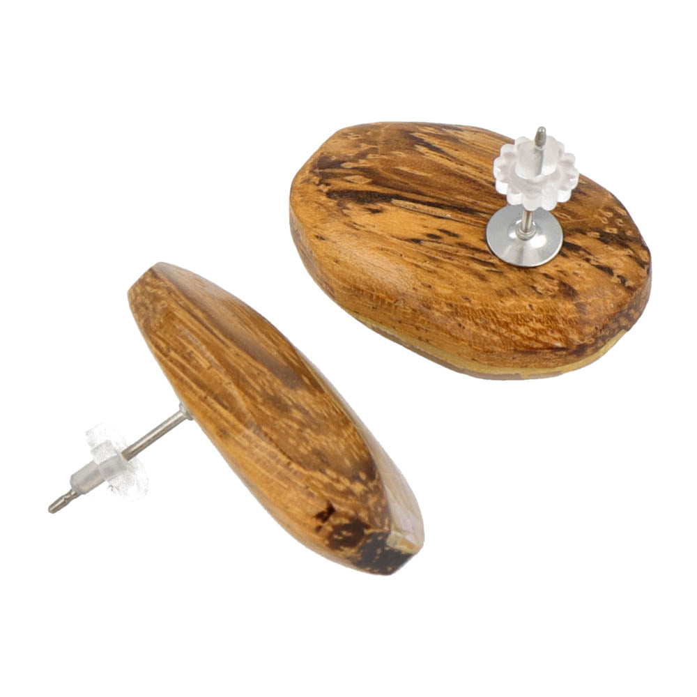 Wood and Shell Earrings