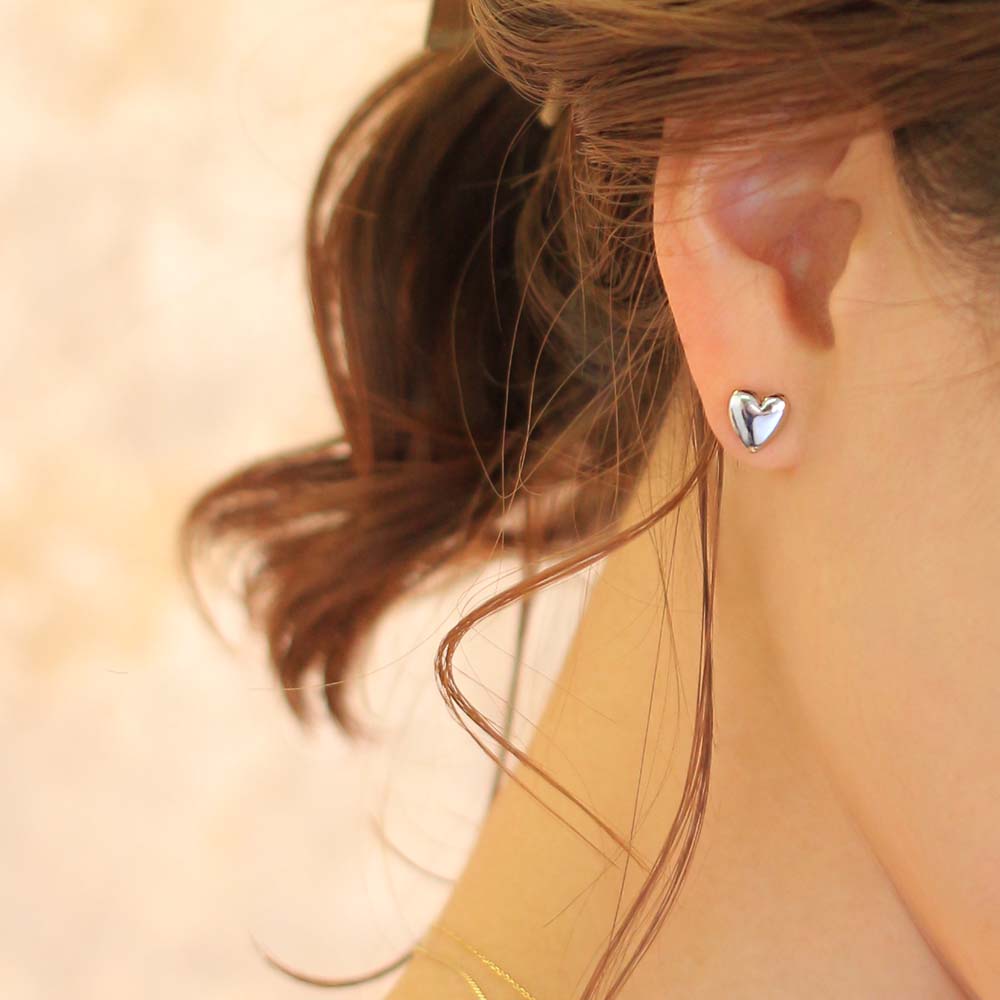 Polished Heart Titanium Earrings