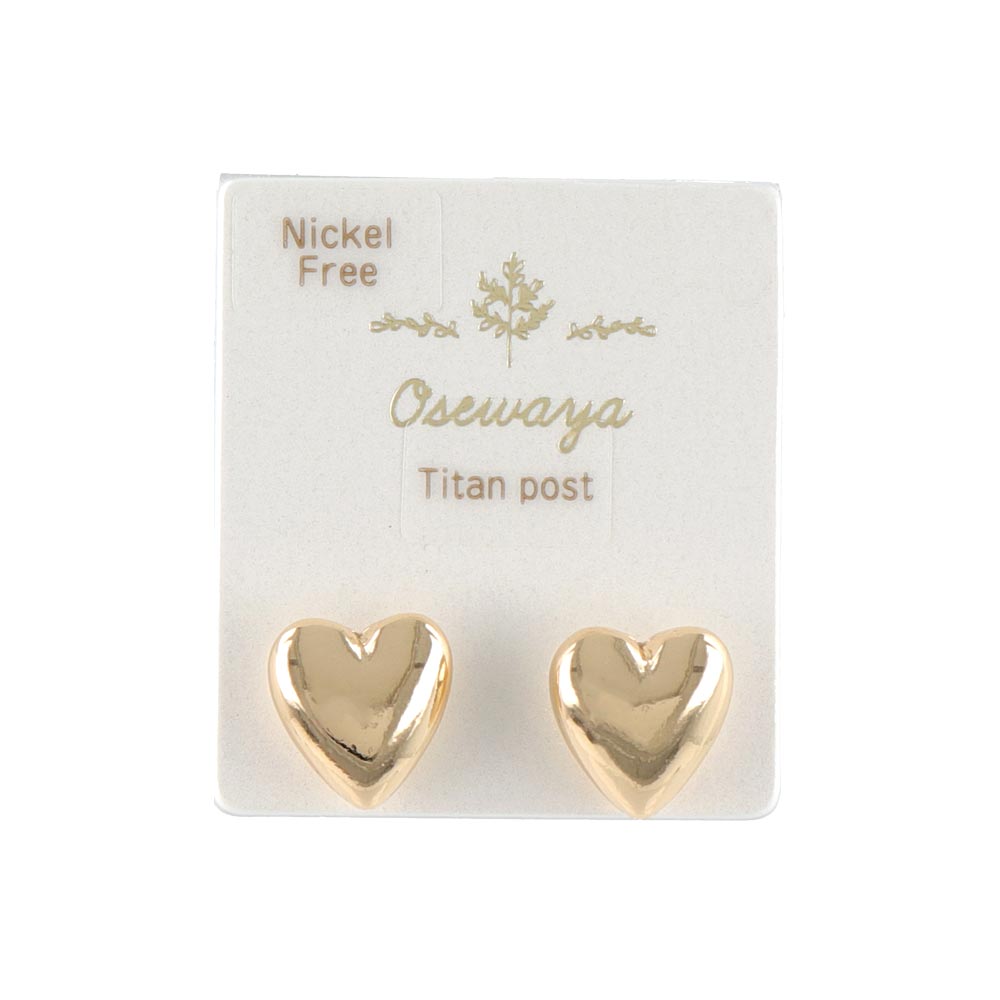 Polished Heart Titanium Earrings